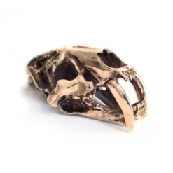 Fire & Bone T-Shirts & Gifts Sabertooth Cat Skull Pendant Necklace