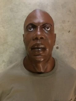 Dapper Cadaver Workshop Dura Severe Trauma Richard Body