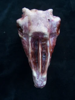 Dapper Cadaver Workshop Skinned Goat Head Gory Butcher Shop