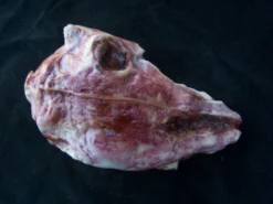 Dapper Cadaver Workshop Skinned Goat Head Gory Butcher Shop