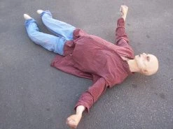 Dapper Cadaver Workshop Floating Drown Alan Half Anatomical Dummy Decayed & Mummy