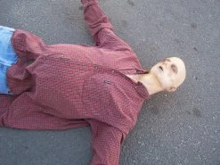 Dapper Cadaver Workshop Floating Drown Alan Half Anatomical Dummy Decayed & Mummy