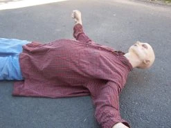 Dapper Cadaver Workshop Floating Drown Alan Half Anatomical Dummy Decayed & Mummy