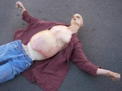 Dapper Cadaver Workshop Floating Drown Alan Half Anatomical Dummy Decayed & Mummy