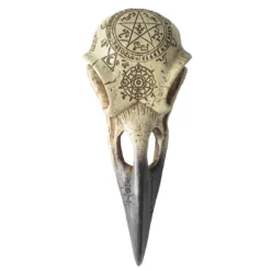 Pacific Trading Alchemy Raven Skull Halloween Decor