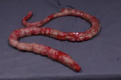 Dapper Cadaver Workshop Prop Organs Silicone Large Intestine