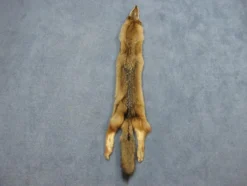 Chichester Wild Animal Props Coyote Pelt