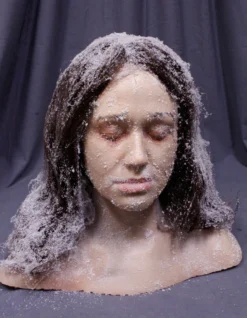 Dapper Cadaver Workshop Frozen Jessica Head