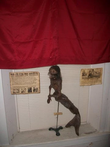 Dapper Cadaver Workshop 3 Ft. Feejee Mermaid 5 Dapper Cadaver Workshop 3 Ft. Feejee Mermaid