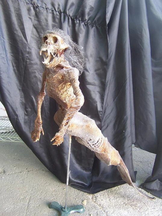 Dapper Cadaver Workshop 3 Ft. Feejee Mermaid 3 Dapper Cadaver Workshop 3 Ft. Feejee Mermaid