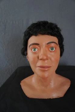 Dapper Cadaver Workshop Fake Heads Boy Child Head Prop