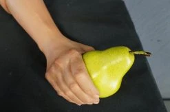 Dapper Cadaver Workshop Dura Donna Hold Hands Fake Arms