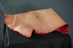 Dapper Cadaver Workshop Torsos And Half Bodies Human Torso Skin