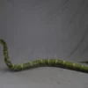 Dapper Cadaver Workshop 7ft Poseable Boa Snake Prop Fantasy & Supernatural Props