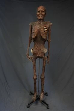 Dapper Cadaver Workshop Nell Mummy Prop