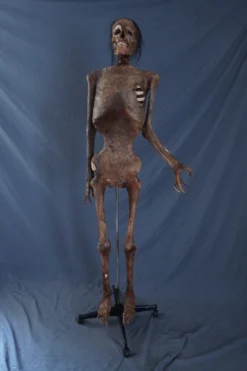 Dapper Cadaver Props Houston Mummy Rental