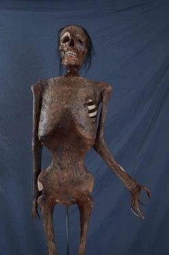 Dapper Cadaver Workshop Houston Mummy