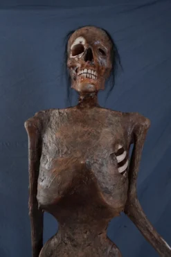 Dapper Cadaver Props Houston Mummy Rental