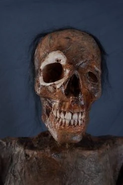 Dapper Cadaver Workshop Houston Mummy