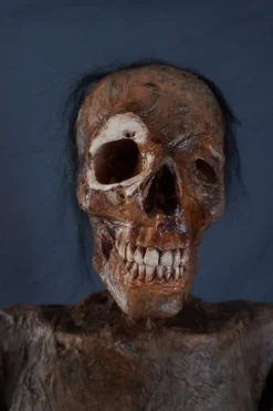 Dapper Cadaver Props Houston Mummy Rental