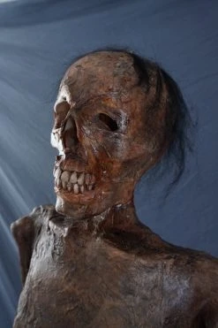 Dapper Cadaver Workshop Houston Mummy