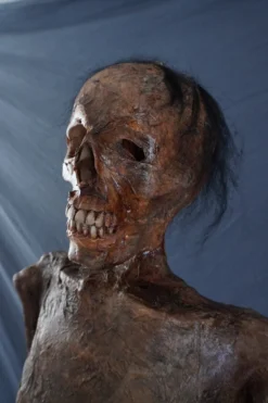 Dapper Cadaver Props Houston Mummy Rental