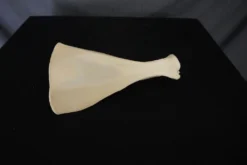 Chichester Deer Shoulder Blade Animal Skulls & Skeletons