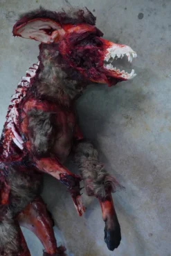 Dapper Cadaver Workshop Exposed Bone Gory Coyote