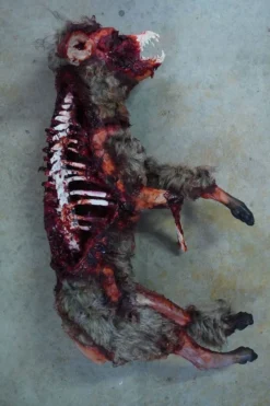 Dapper Cadaver Workshop Exposed Bone Gory Coyote