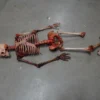 Dapper Cadaver Workshop Skeletons, Skulls & Bones Dismembered Bloody Skeleton