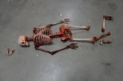 Dapper Cadaver Workshop Skeletons, Skulls & Bones Dismembered Bloody Skeleton