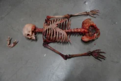 Dapper Cadaver Workshop Skeletons, Skulls & Bones Dismembered Bloody Skeleton
