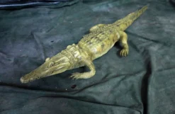 Dapper Cadaver Workshop Reptiles, Sealife & More Alligator Prop