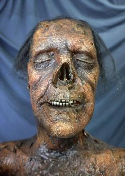 Dapper Cadaver Workshop Boris Mummy Prop Decayed & Mummy