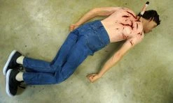 Dapper Cadaver Workshop Slashed Turner Half Anatomical Dummy