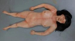 Dapper Cadaver Workshop Dura Meredith Cadaver Body