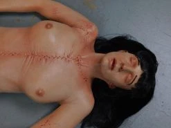 Dapper Cadaver Workshop Dura Meredith Cadaver Body