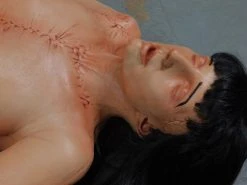 Dapper Cadaver Workshop Dura Meredith Cadaver Body