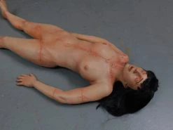 Dapper Cadaver Workshop Dura Meredith Cadaver Body