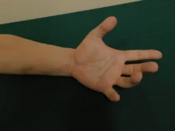 Dapper Cadaver Workshop Poseable Flex Kevin Half Arms Dura Rubber