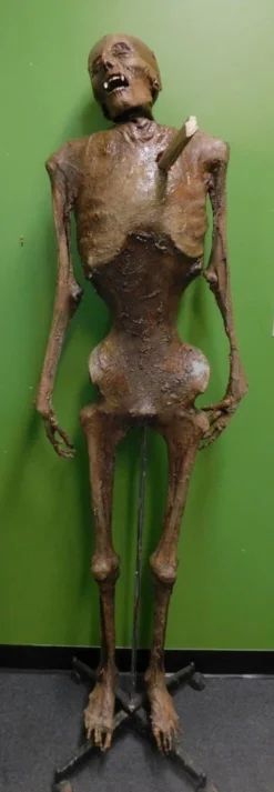 Dapper Cadaver Workshop Vampire Nell Mummy With Stake