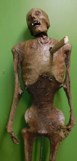 Dapper Cadaver Workshop Vampire Nell Mummy With Stake