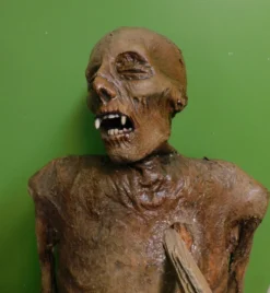 Dapper Cadaver Workshop Vampire Nell Mummy With Stake