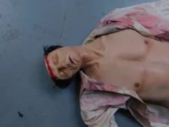 Dapper Cadaver Workshop Gory Bodies Hollow Head Alan Half Anatomical Dummy