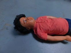 Dapper Cadaver Workshop Deluxe Toddler Prop Lifecast Prop Bodies