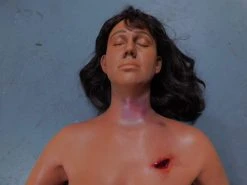 Dapper Cadaver Workshop Dura Severe Trauma Jessica Body