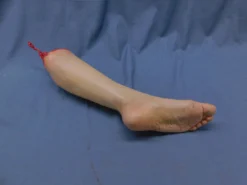 Dapper Cadaver Workshop Dura Kelly Leg Prop Dura Rubber