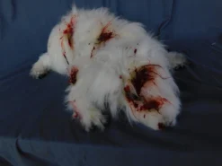 Dapper Cadaver Props Dog & Cat Props Bloody Mongrel Lapdog