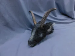 Dapper Cadaver Workshop Furry Severed Goat Head Village Props