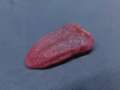 Dapper Cadaver Workshop Silicone Tongue